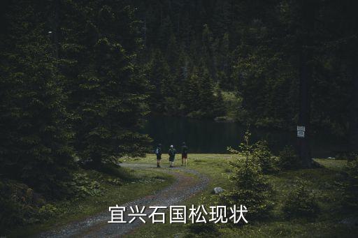 宜興石國松現(xiàn)狀