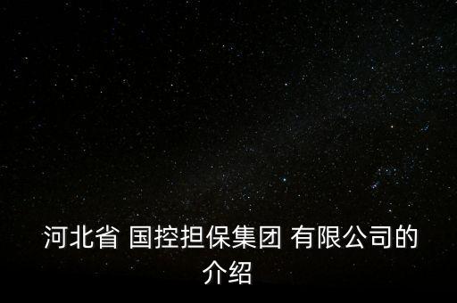  河北省 國控擔(dān)保集團 有限公司的介紹