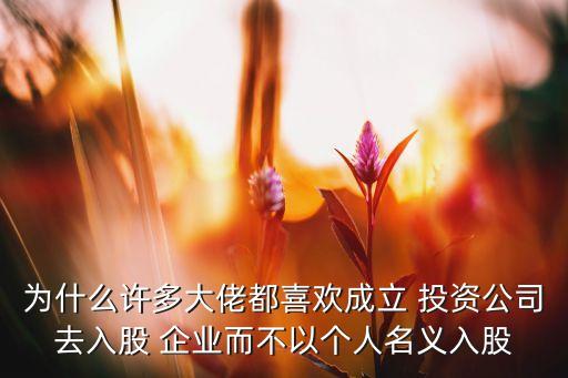 為什么許多大佬都喜歡成立 投資公司去入股 企業(yè)而不以個(gè)人名義入股