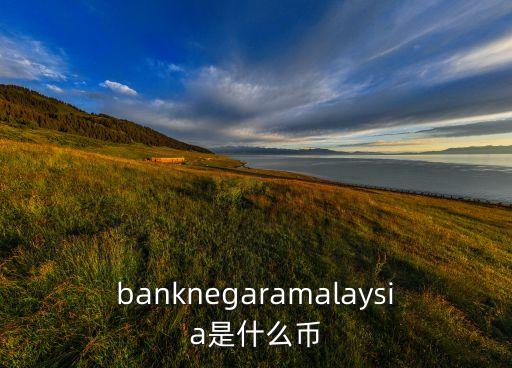 banknegaramalaysia是什么幣