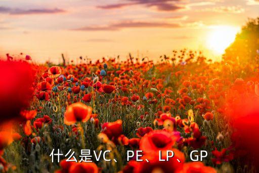 什么是VC、PE、LP、GP