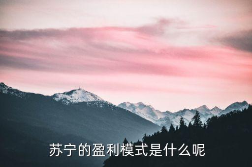  蘇寧的盈利模式是什么呢