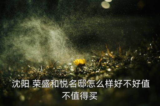 沈陽榮盛錦繡天地房地產(chǎn)開發(fā)有限公司