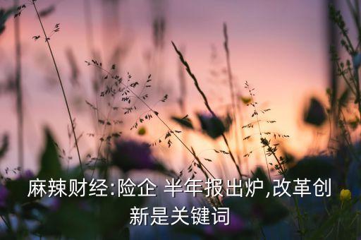 麻辣財經(jīng):險企 半年報出爐,改革創(chuàng)新是關鍵詞