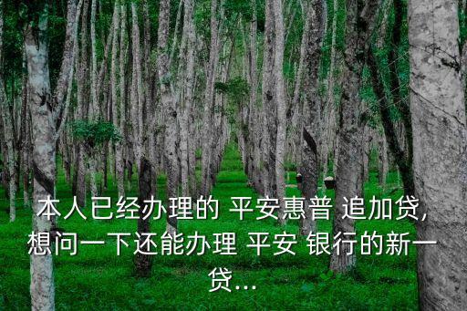 本人已經辦理的 平安惠普 追加貸,想問一下還能辦理 平安 銀行的新一貸...