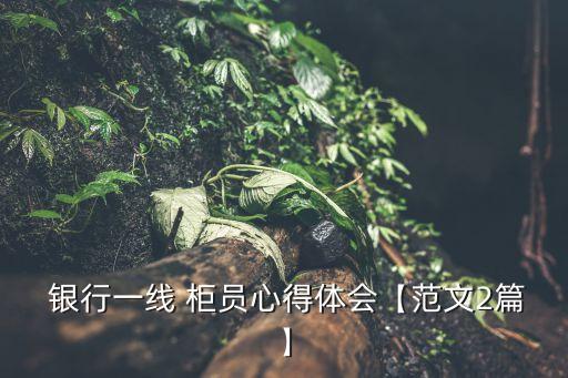  銀行一線 柜員心得體會(huì)【范文2篇】