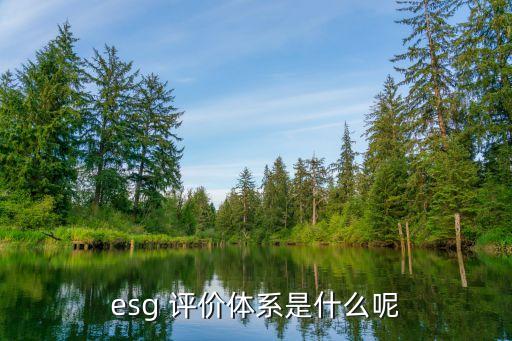 esg 評(píng)價(jià)體系是什么呢