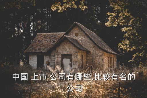 中國(guó) 上市 公司有哪些,比較有名的 公司