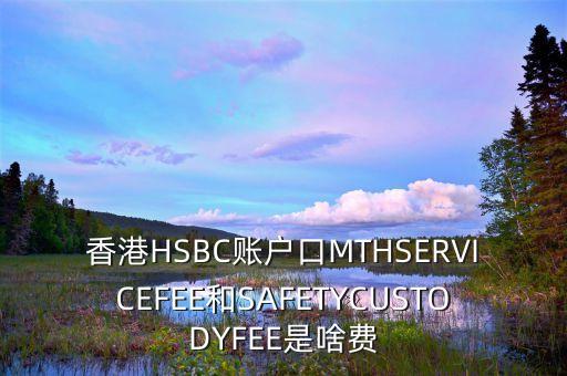 香港HSBC賬戶口MTHSERVICEFEE和SAFETYCUSTODYFEE是啥費(fèi)