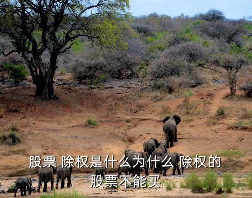  股票 除權(quán)是什么為什么 除權(quán)的 股票不能買