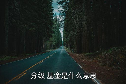  分級 基金是什么意思