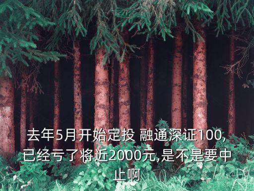 去年5月開始定投 融通深證100,已經(jīng)虧了將近2000元,是不是要中止啊