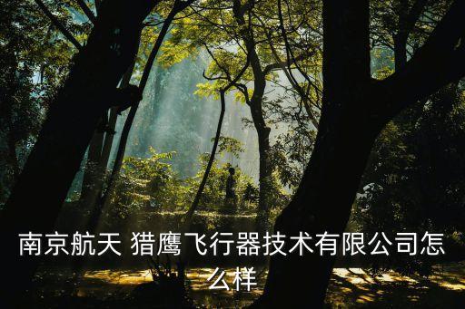 獵鷹能源集團,獵鷹集團的創(chuàng)始人