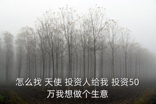 怎么找 天使 投資人給我 投資50萬我想做個生意