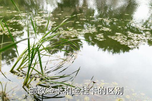 淺談郵儲(chǔ)銀行中高端客戶群細(xì)分