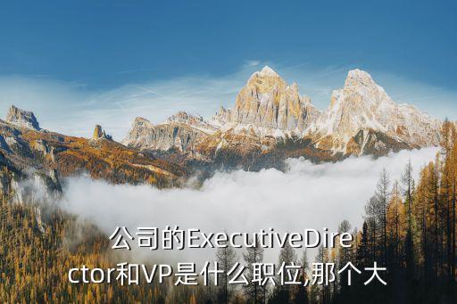  公司的ExecutiveDirector和VP是什么職位,那個(gè)大