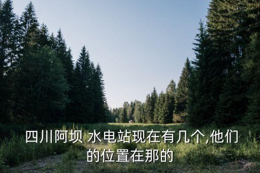  四川阿壩 水電站現(xiàn)在有幾個(gè),他們的位置在那的