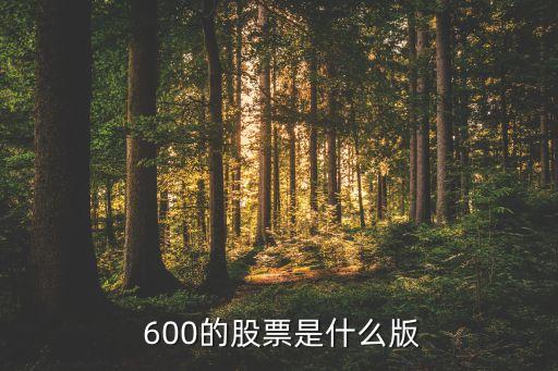  600的股票是什么版