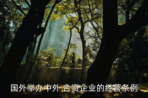 合資公司方案,國企和民企成立合資公司方案