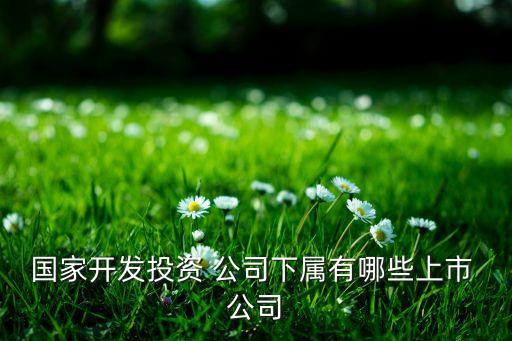 國家開發(fā)投資 公司下屬有哪些上市 公司