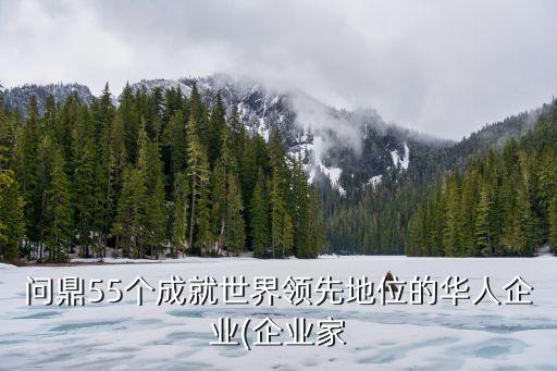 問鼎55個成就世界領先地位的華人企業(yè)(企業(yè)家