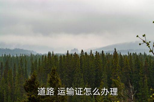 上海道路運(yùn)輸證從業(yè)資格證審證在哪里,上海貨運(yùn)從業(yè)資格證審證地點(diǎn)