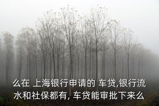 么在 上海銀行申請的 車貸,銀行流水和社保都有, 車貸能審批下來么