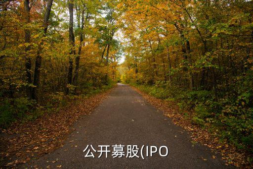 公開募股(IPO