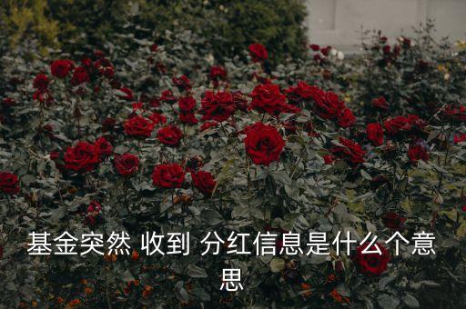 公司收到理財(cái)分紅,收到理財(cái)分紅怎么做分錄