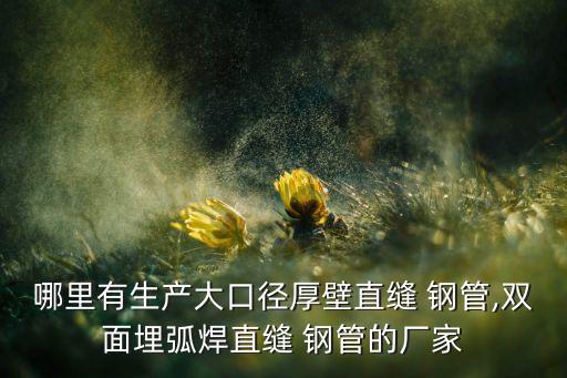 江蘇玉龍鋼管有限公司,無(wú)錫玉龍精密鋼管有限公司