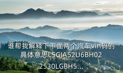 誰幫我解釋下下面兩個(gè)汽車vin碼的具體意思LSGJA52U6BH022530LGBH5...