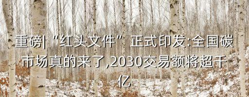 重磅|“紅頭文件”正式印發(fā):全國(guó)碳市場(chǎng)真的來了,2030交易額將超千億