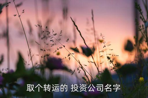 取個轉(zhuǎn)運的 投資公司名字