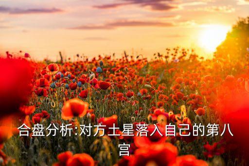  合盤分析:對方土星落入自己的第八宮