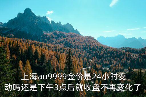  上海au9999金價是24小時變動嗎還是下午3點后就收盤不再變化了