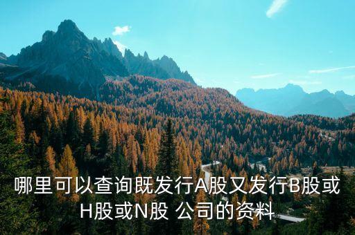 哪里可以查詢既發(fā)行A股又發(fā)行B股或H股或N股 公司的資料