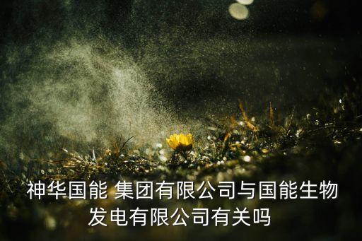 神華國能集團陳英,國能集團與神華的關系