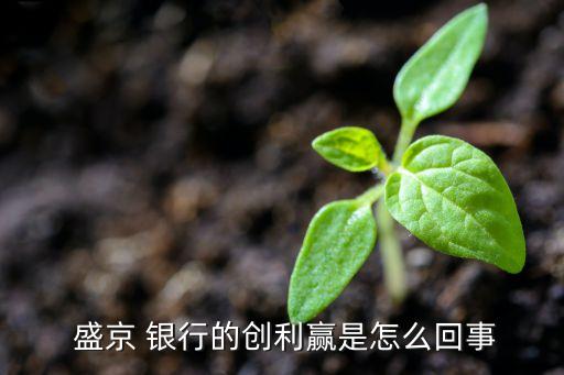  盛京 銀行的創(chuàng)利贏是怎么回事