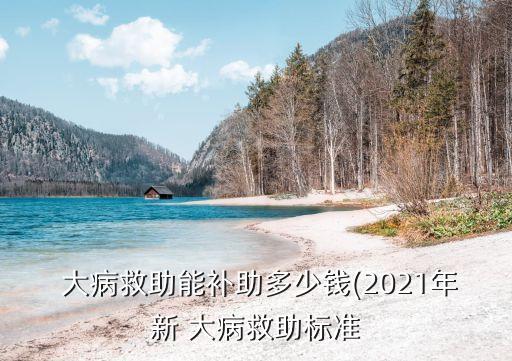  大病救助能補助多少錢(2021年新 大病救助標準