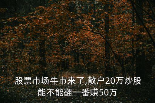  股票市場牛市來了,散戶20萬炒股能不能翻一番賺50萬