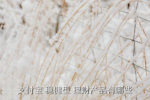 支付寶 穩(wěn)健型 理財(cái)產(chǎn)品有哪些