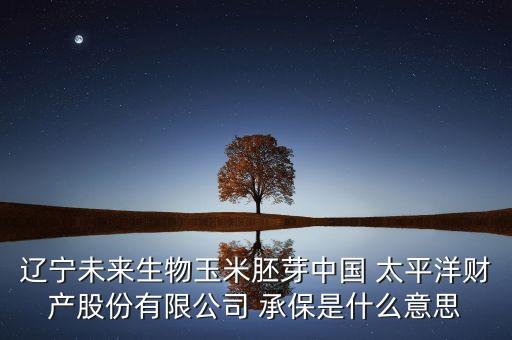 太平洋保險(xiǎn)公司質(zhì)量承保