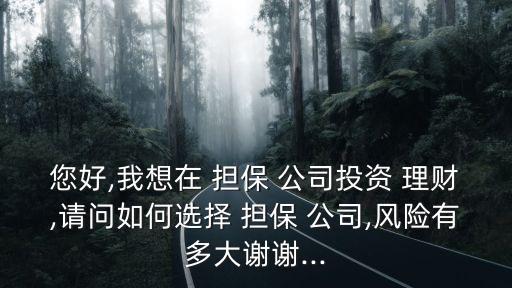 您好,我想在 擔保 公司投資 理財,請問如何選擇 擔保 公司,風險有多大謝謝...