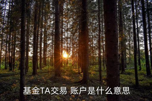  基金TA交易 賬戶(hù)是什么意思