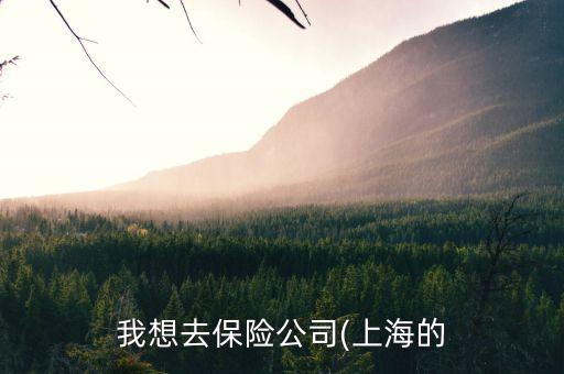 我想去保險(xiǎn)公司(上海的