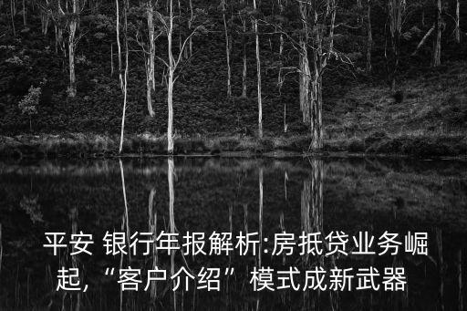  平安 銀行年報(bào)解析:房抵貸業(yè)務(wù)崛起,“客戶介紹”模式成新武器