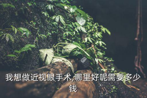 我想做近視眼手術(shù),哪里好呢需要多少錢