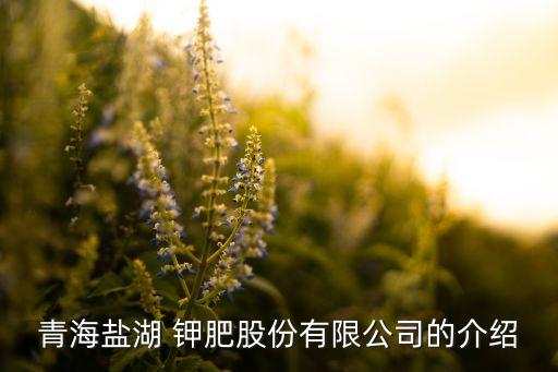 中國啟動(dòng)對(duì)全球最大鉀肥生產(chǎn)商