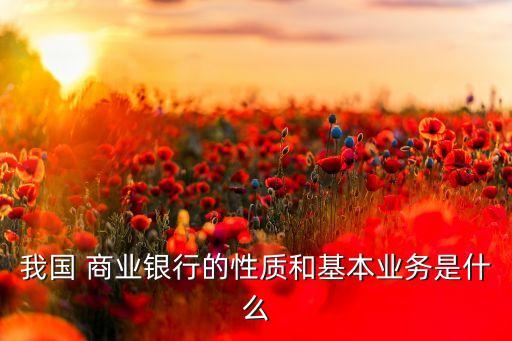 我國 商業(yè)銀行的性質(zhì)和基本業(yè)務是什么