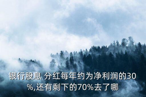 銀行股息 分紅每年約為凈利潤(rùn)的30%,還有剩下的70%去了哪